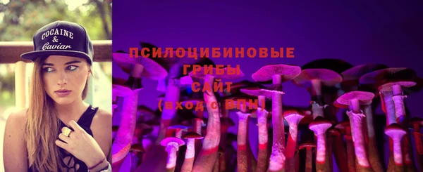 соль ск Вяземский