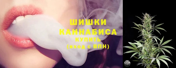соль ск Вяземский