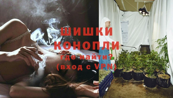 соль ск Вяземский