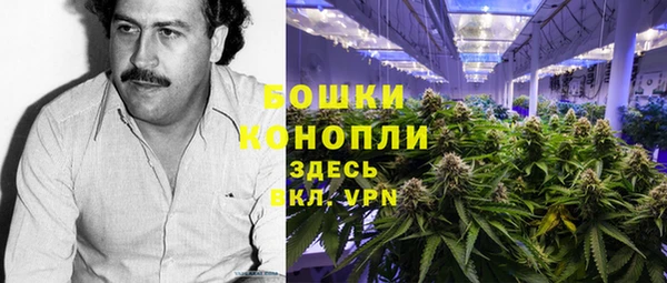 соль ск Вяземский