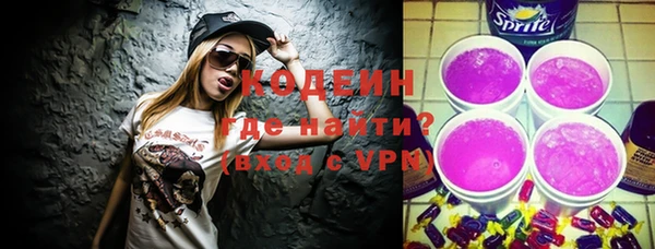 соль ск Вяземский