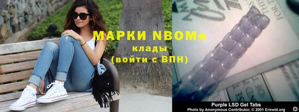 соль ск Вяземский
